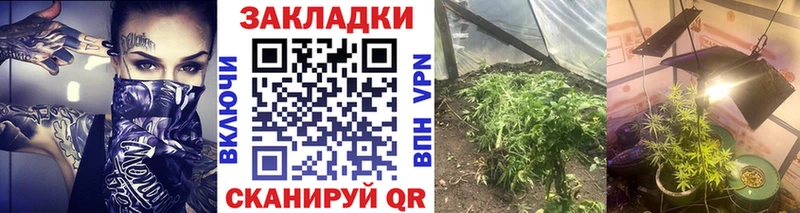 Продажа наркотиков Заречный Конопля  Alpha PVP  Галлюциногенные грибы  NBOMe  Меф мяу мяу  Кокаин 